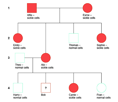 Autosomal Recessive Pedigree Chart