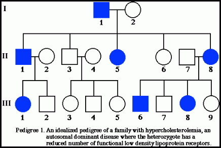 Autosomal Recessive Pedigree Chart