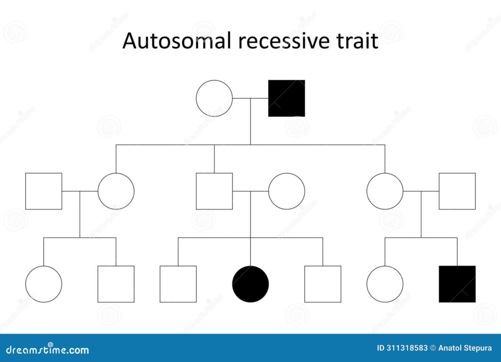 Autosomal Recessive Trait Stock Vector Illustration Of Chromosome 