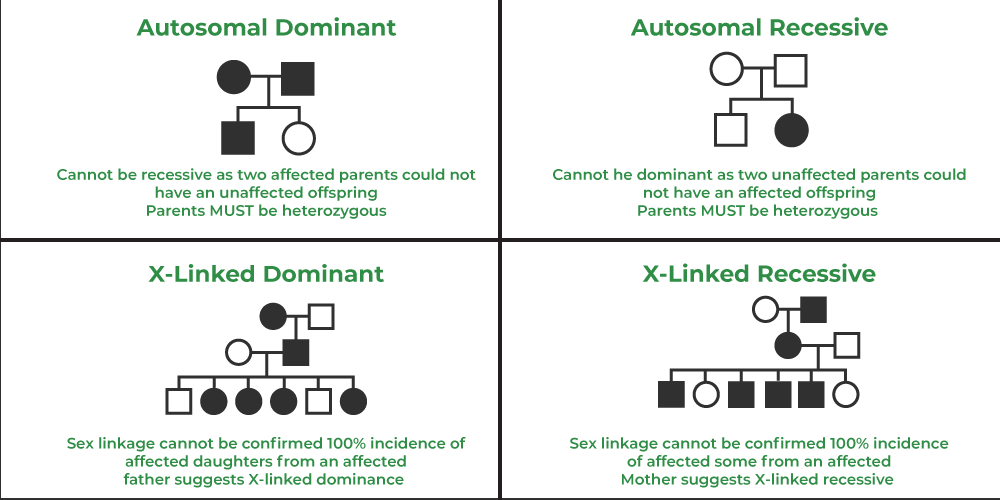 Autosomal Recessive Vs Autosomal Dominant Pedigree