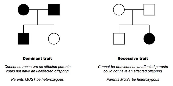 Basic Genomic Concepts Including Patterns Of Inheritance Penetrance 