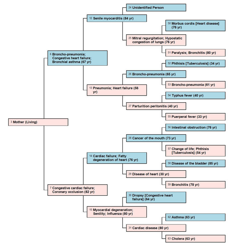 Blog Genealogy Junkie