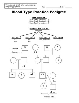 Blood Type Pedigree By Parker 39 s Products For The Sciences TpT