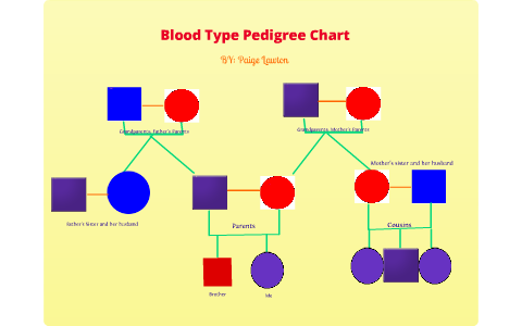 Blood Types By Paige Lawton On Prezi