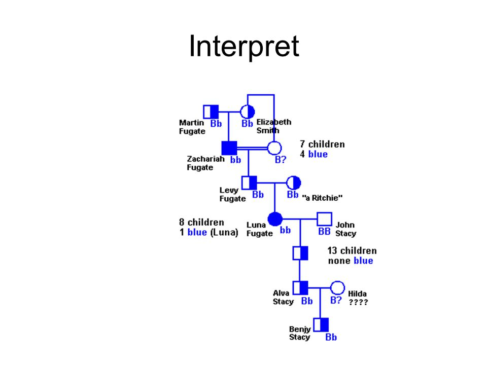 Blue People Of Kentucky A Pedigree Study Troublesome Creek 6 