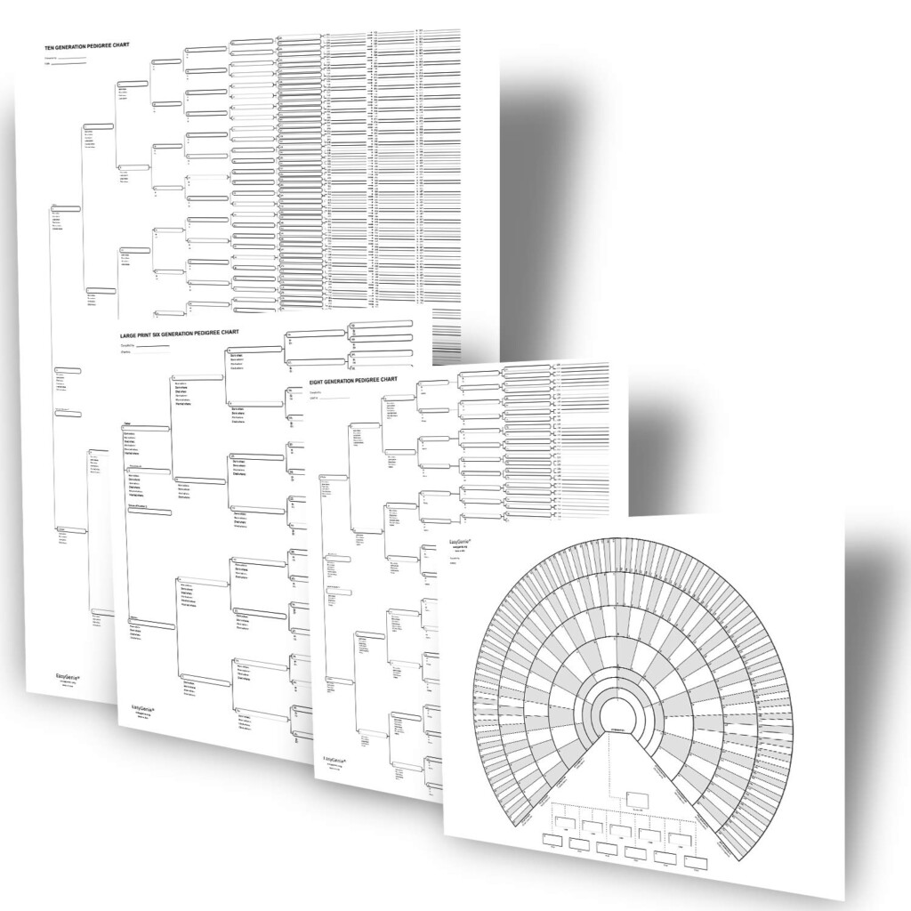 Buy Big Genealogy Charts Bundle With 10 Generation 8 Generation And 6 