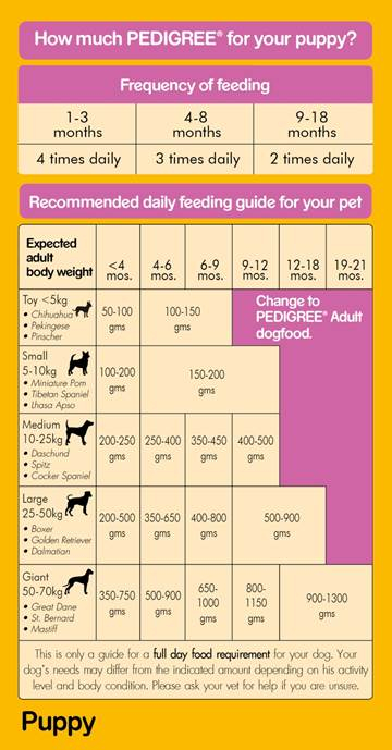 Buy Pedigree Wet Dog Food Chicken Chunks In Gravy For Puppy 80g 