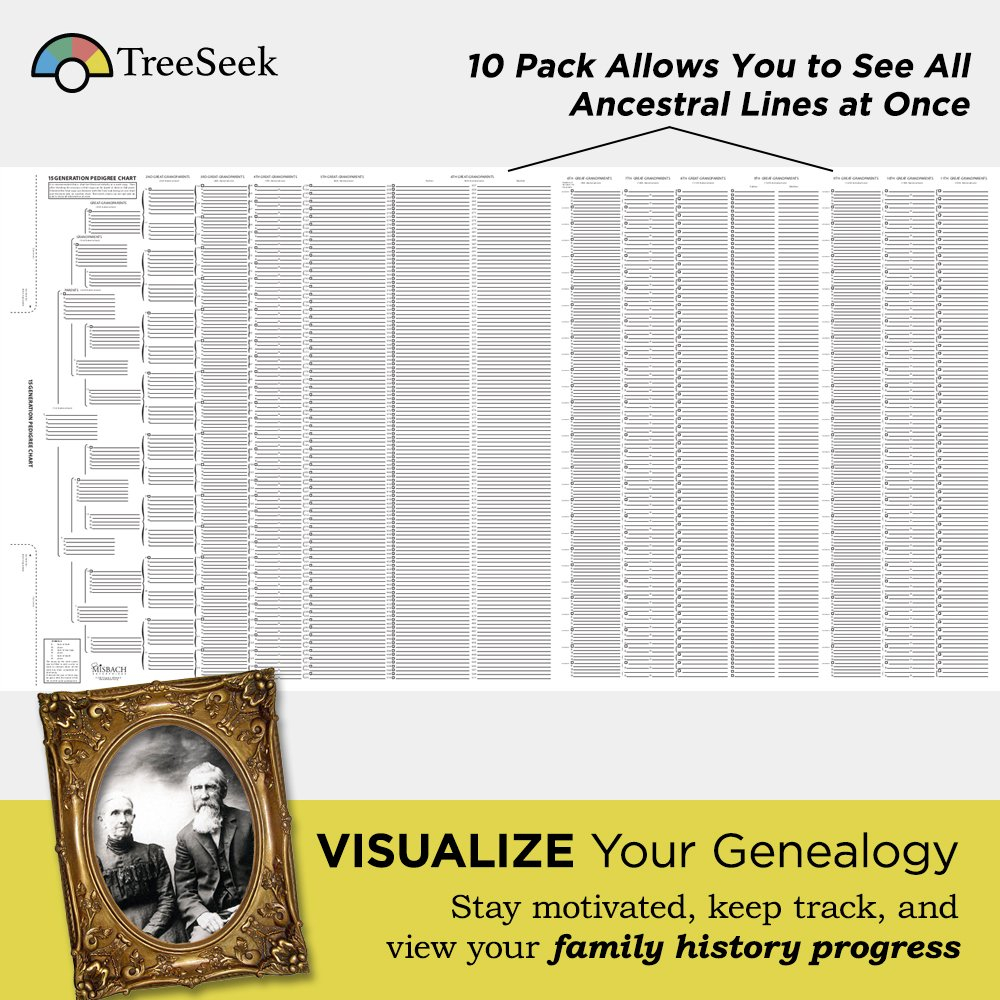 Buy TreeSeek 15 Generation Pedigree Chart 10 Pack Blank Genealogy 