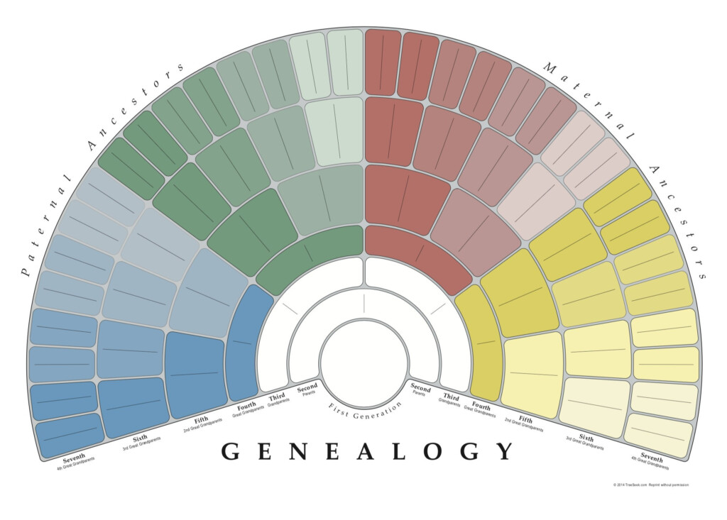 Buy TreeSeek Family Tree Wall Fan Chart Large Colored Blank Fillable 