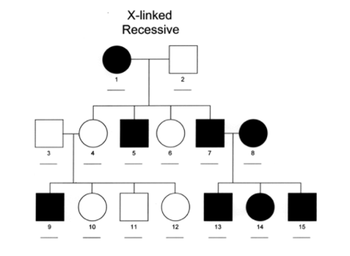 CC Tips For Interpreting Pedigree Charts And Understanding 