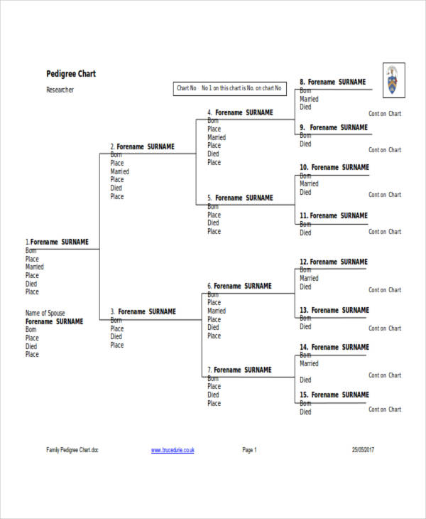 Chart Examples 35 In DOC XLS Examples