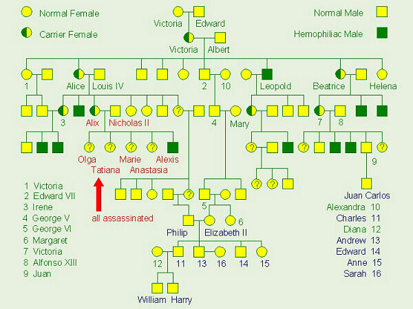 Chromosomes Human Inheritance Houston Biology Project