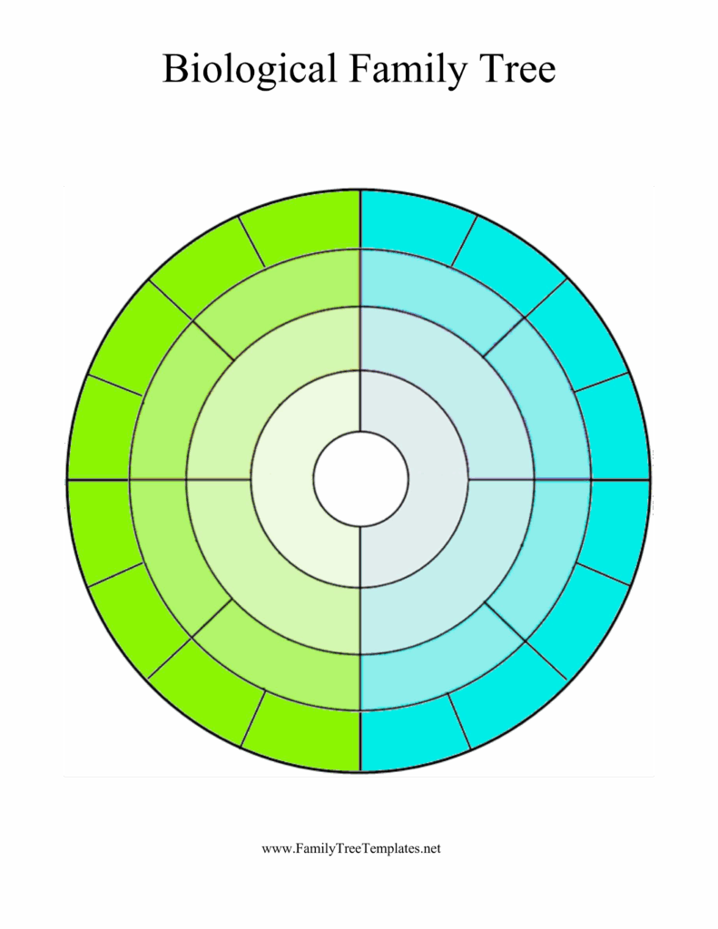 Circular Family Tree How To Create A Circular Family Tree Download 