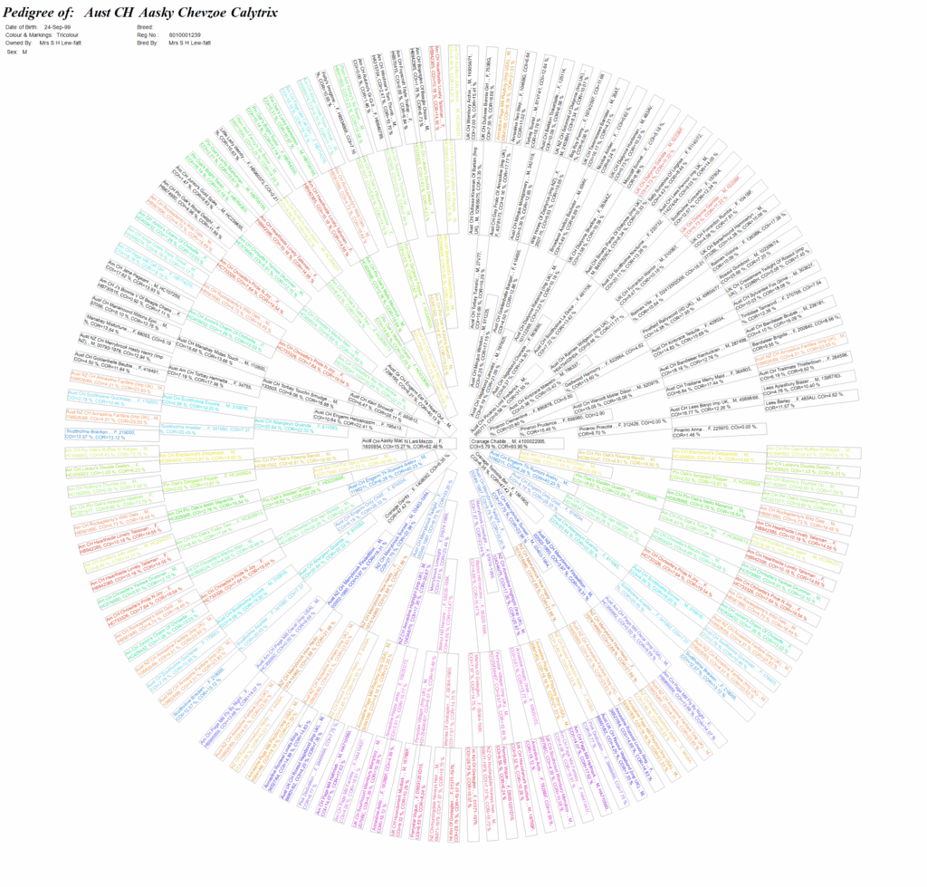Circular Pedigree