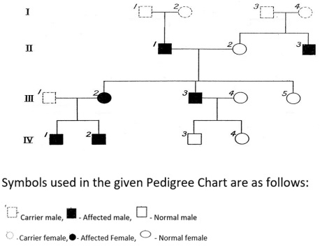  Class 12 On The Basis Of The Inheritance Pattern Exhibited In This