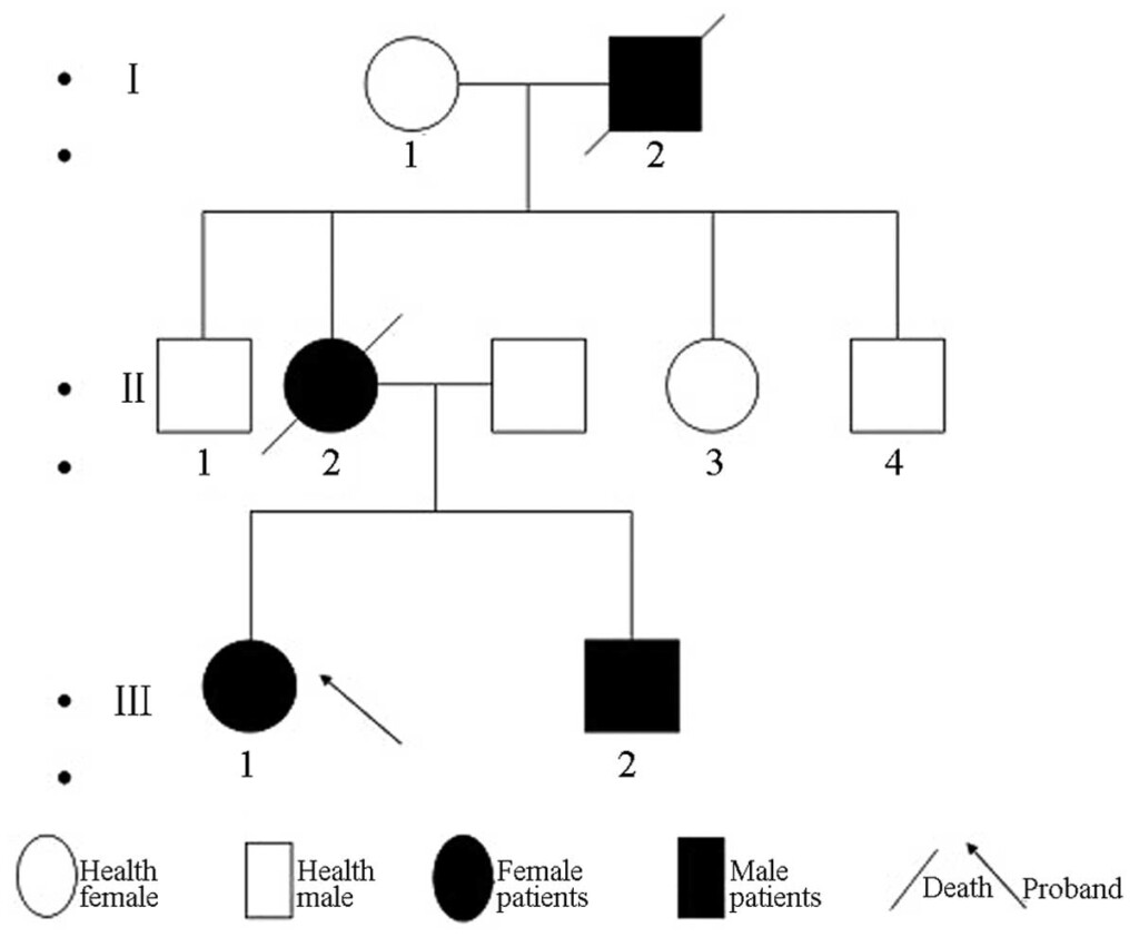 Clinical Pathological And Genetic Characteristics Of A Pedigree With 