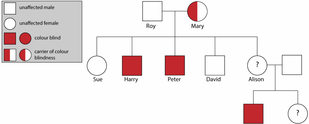 Color Blind Pedigree Chart
