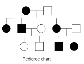 Color Blindness Pedigree