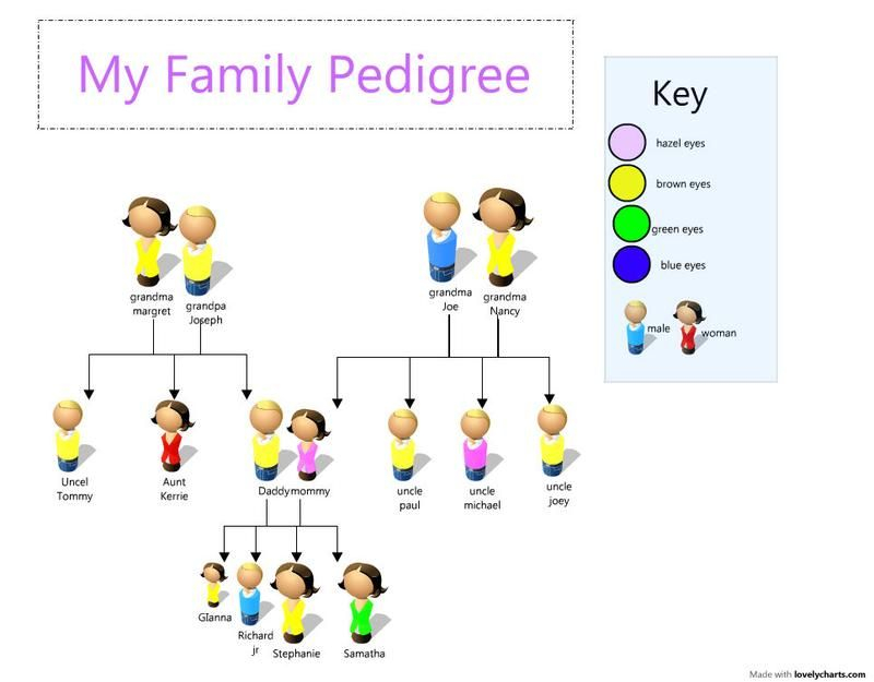 Complete Website Package Family Tree Eye Color Chart Family Diagram 