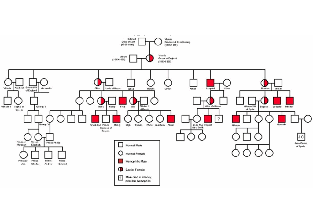 Complex Pedigree Chart Png Chemistry School