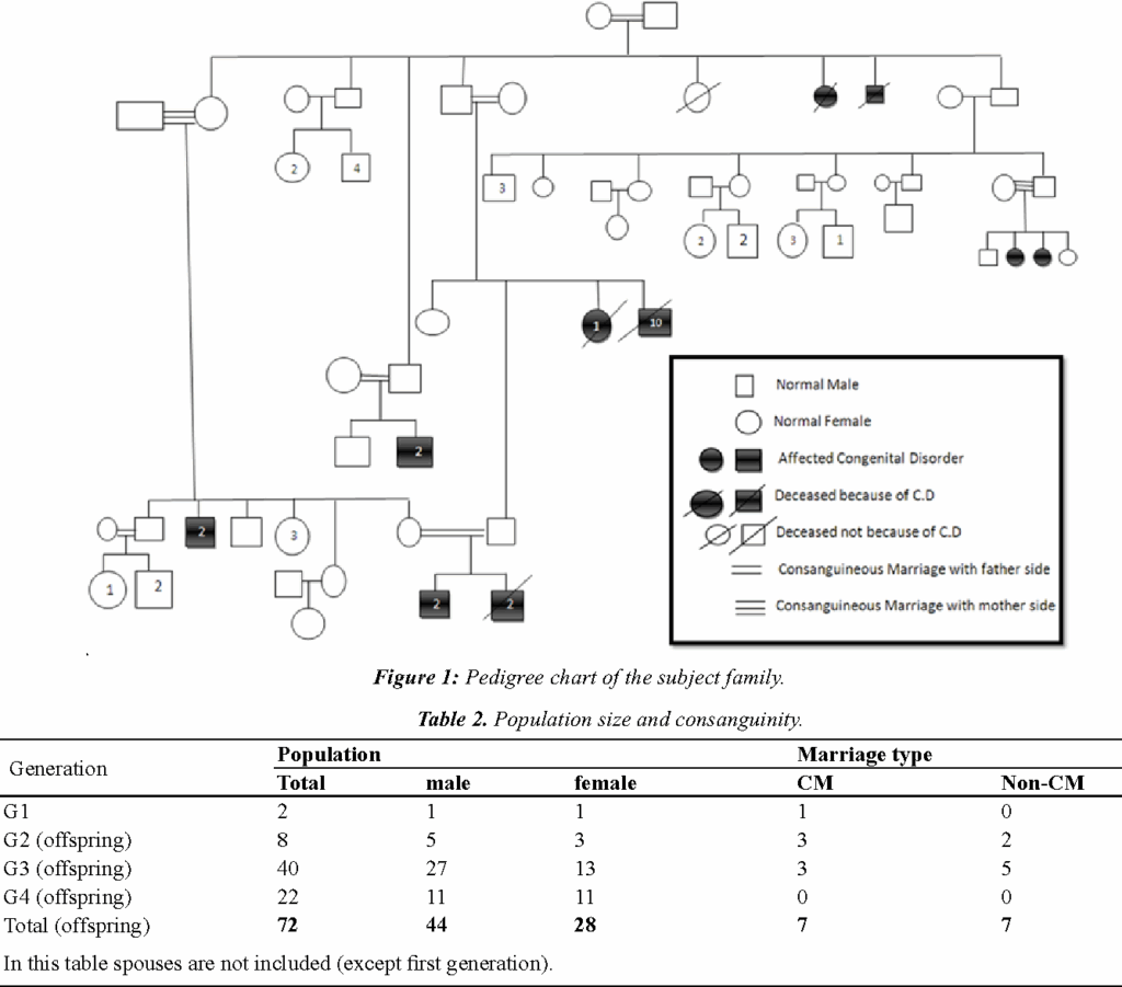 Consanguinity Chart A Visual Reference Of Charts Chart Master