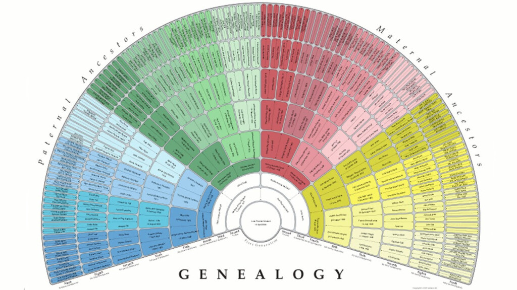 Create A Free Genealogy Fan Chart With TreeSeek YouTube