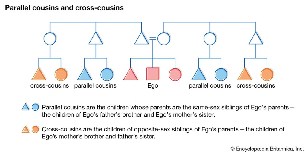 Cross cousin Marriage Kinship Alliance Britannica