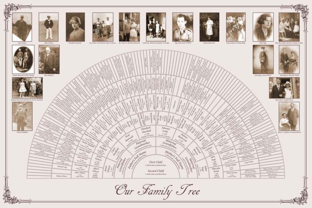 Custom Family Tree 20x30 8 Generation Fan Chart By FamilyTreeCMG 