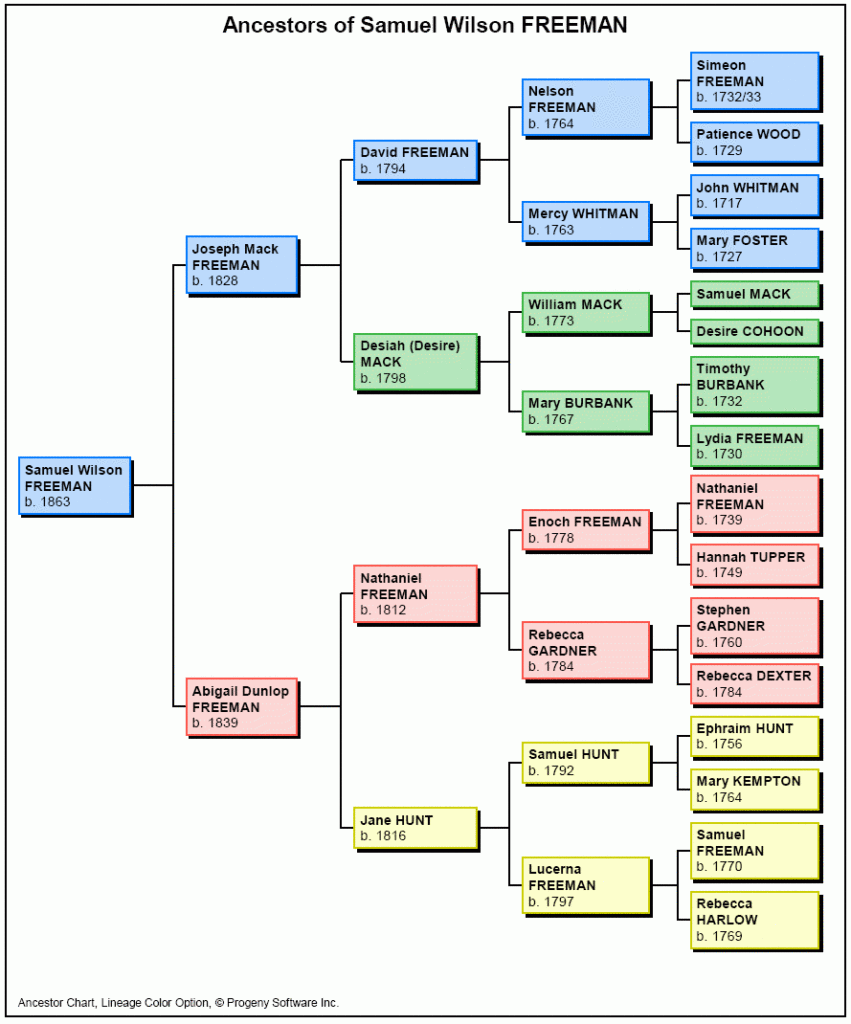 Descendant Chart Template