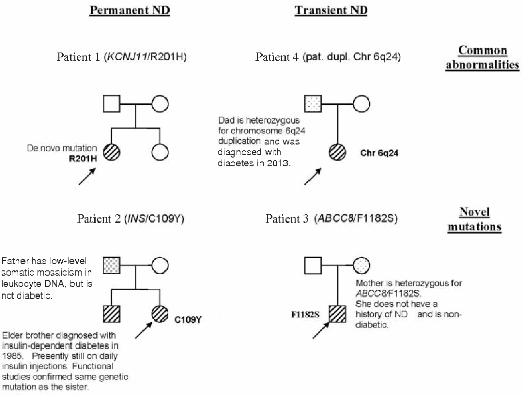 Diabetes Pedigree Chart A Visual Reference Of Charts Chart Master