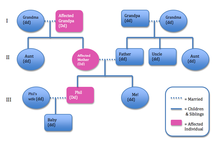 Ditkoff Myotonic Dystrophy Type 1 Family Pedigree