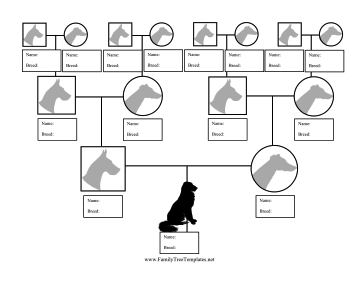 Dog Breed Family Tree Template Family Dogs Breeds Pedigree Chart 
