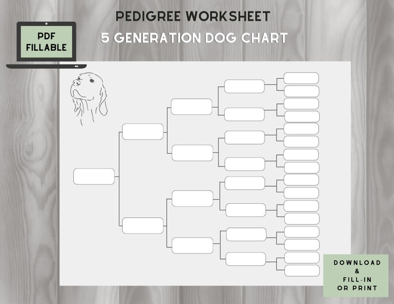 Dog Pedigree Chart 5 Generations On One Page Fillable PDF Etsy