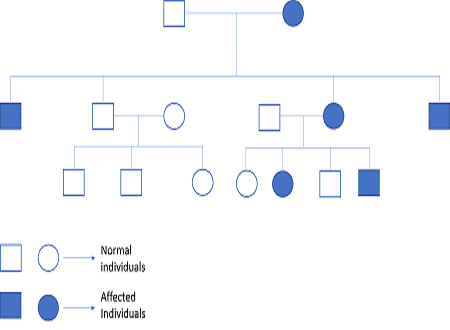 Draw A Pedigree Chart For Noonan Syndrome Homework Study