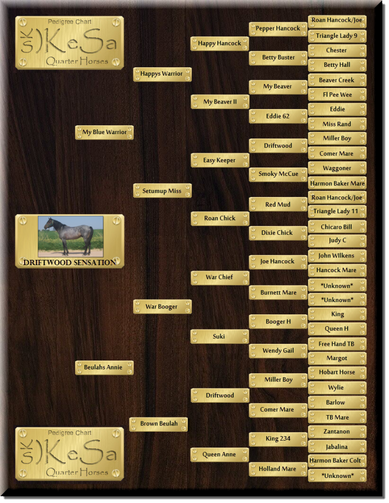 Driftwood Sensation KeSa Quarter Horses Pedigree Chart Blue Roan 