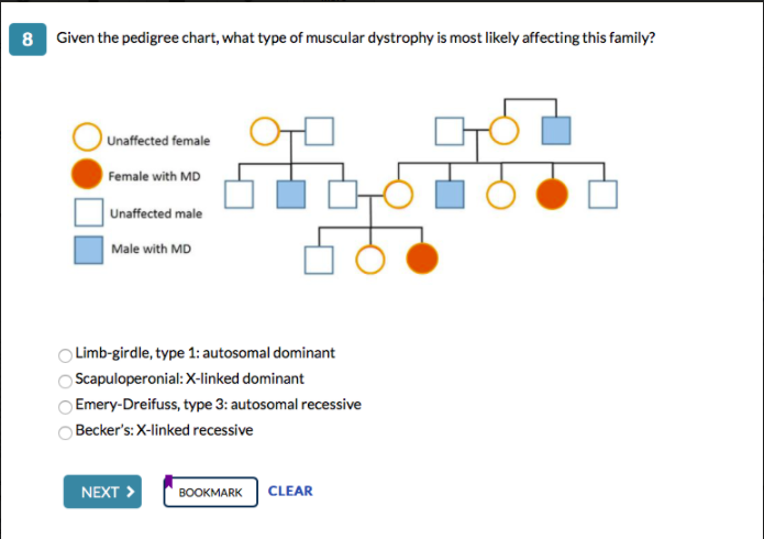 Duchenne Muscular Dystrophy Pedigree Chart