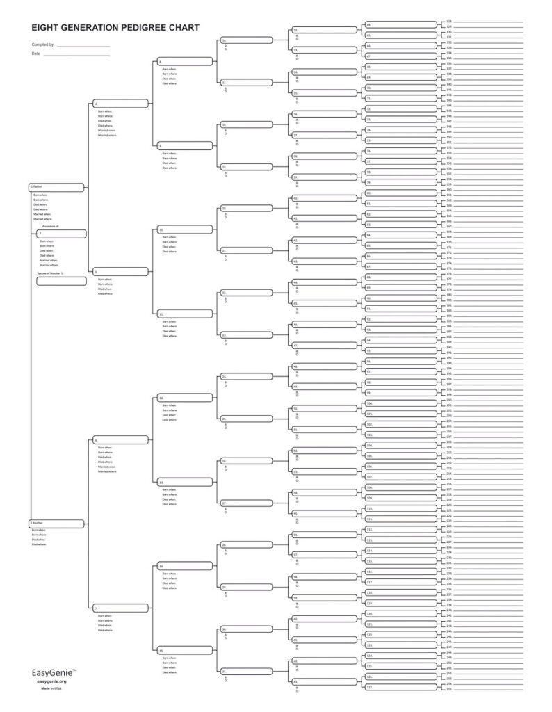 EasyGenie 10 Blank Pedigree Charts 8 Generations 256 Names Per Sheet 