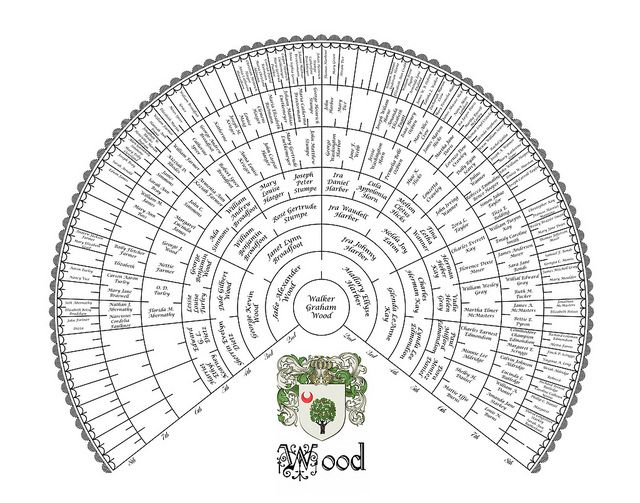 Eight Generation Genealogy Fan Chart Family Tree Family Tree 