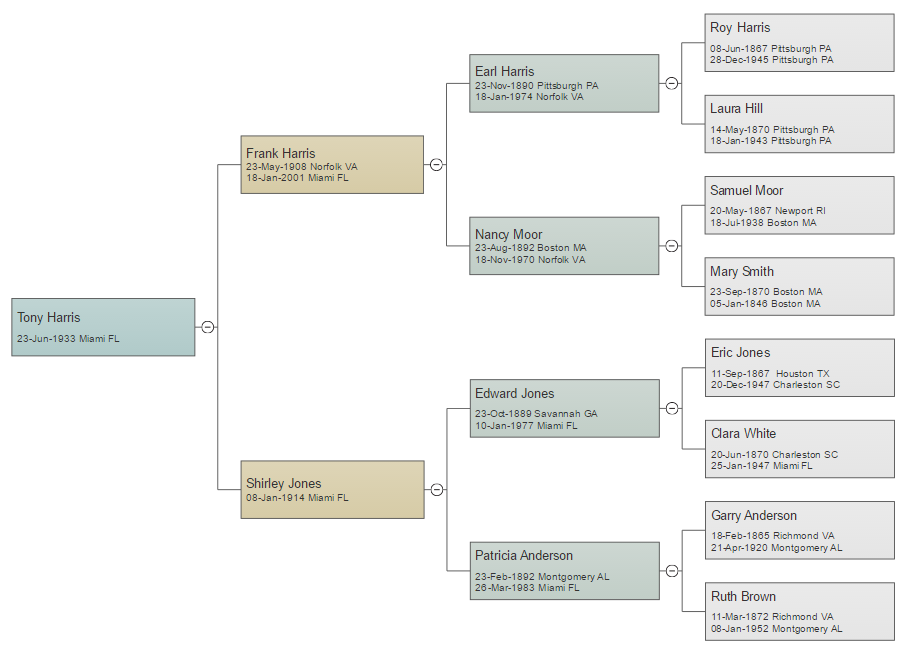 Excel Pedigree Chart Template