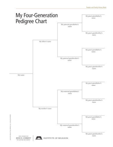 Excel Pedigree Chart Template