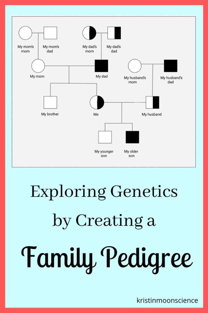 Exploring Genetics With A Family Pedigree