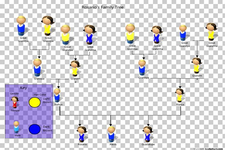 Eye Color Pedigree Chart Ponasa