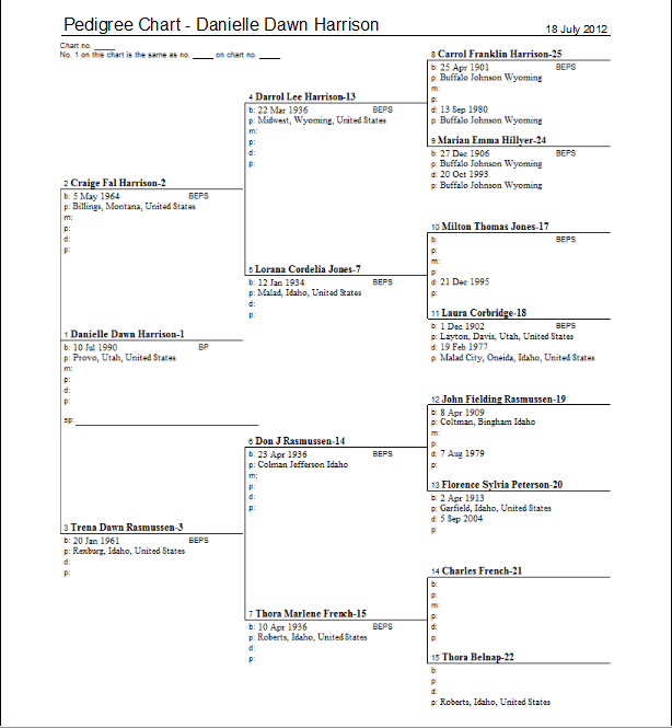 Families Are Forever A Book Of Remembrance 4 Generation Pedigree Chart