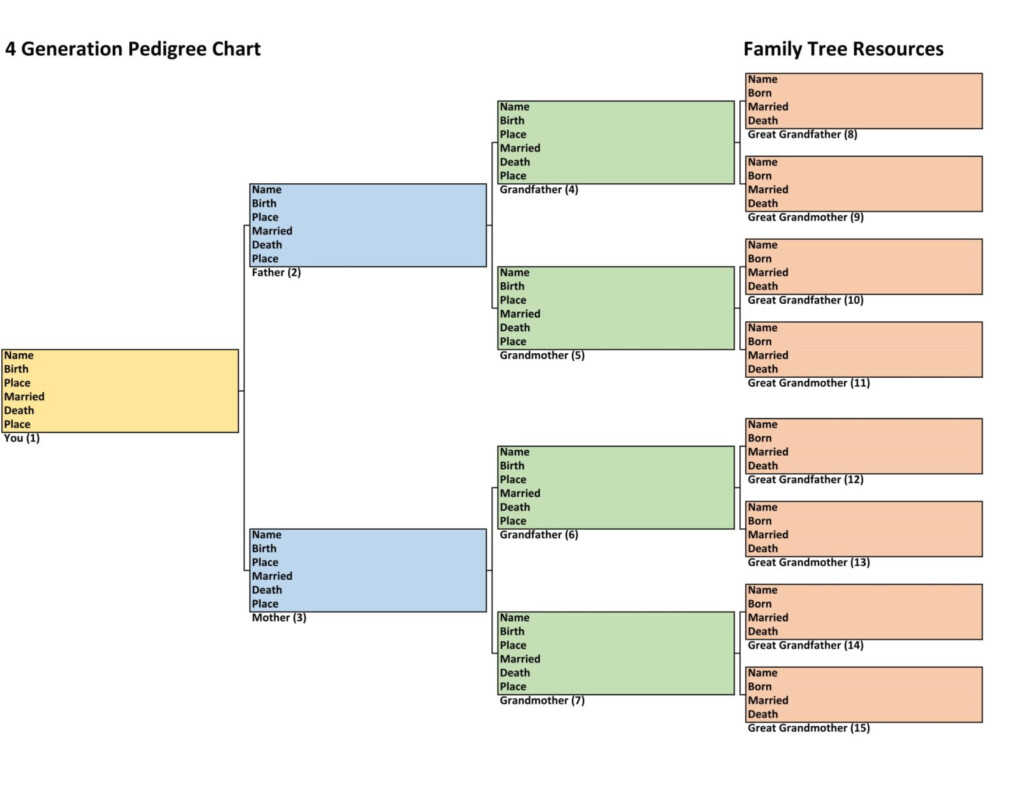 Family History Charts Easy To Use Free To Download Family Tree 