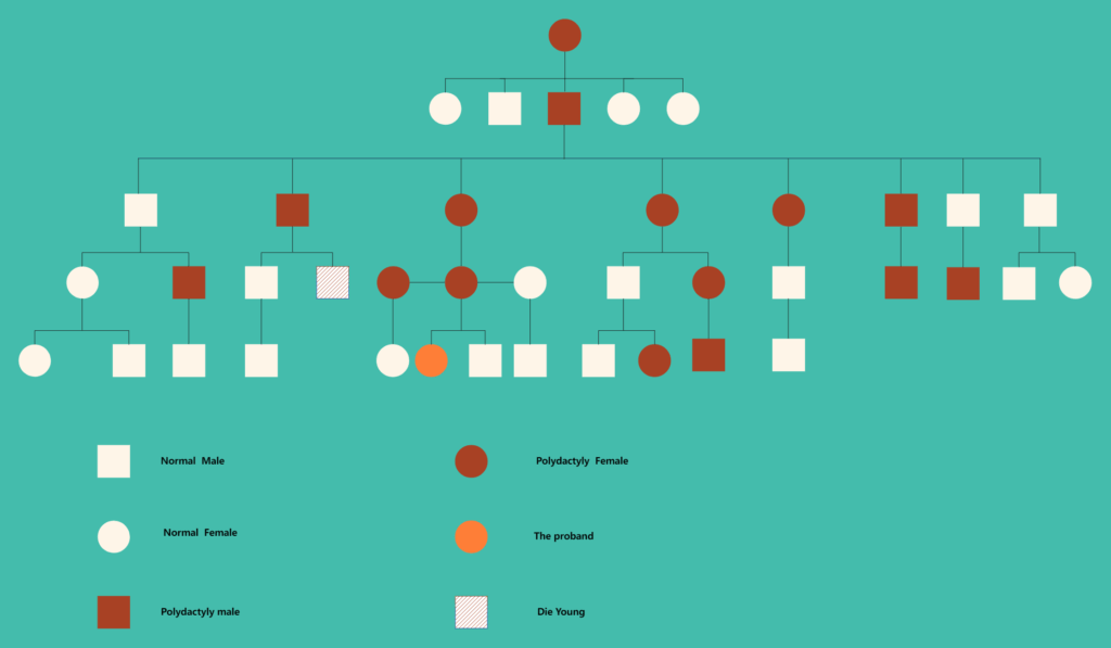 Family Pedigree Chart EdrawMax Template