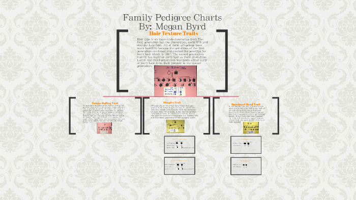 Family Pedigree Charts By Megan Byrd On Prezi