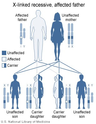 Family Tree Adrenoleukodystrophy ALD