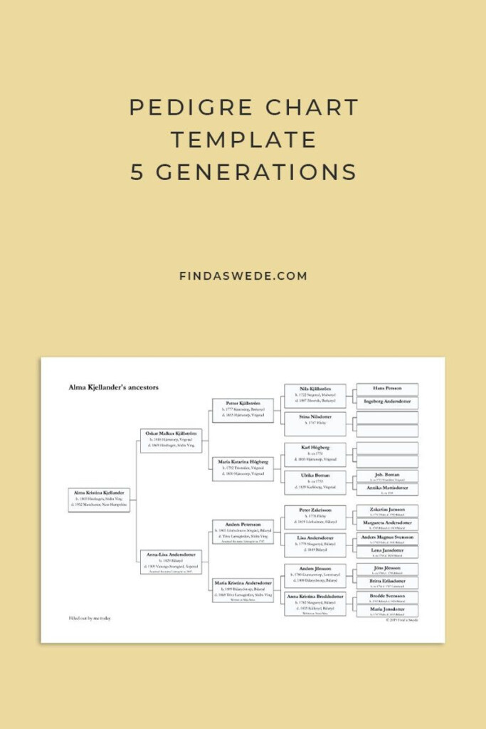 Family Tree Chart 5 Generations Fillable PDF Pedigree Medium Weight 