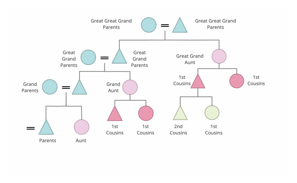 Family Tree Examples To Easily Visualize Your Family History Lights 