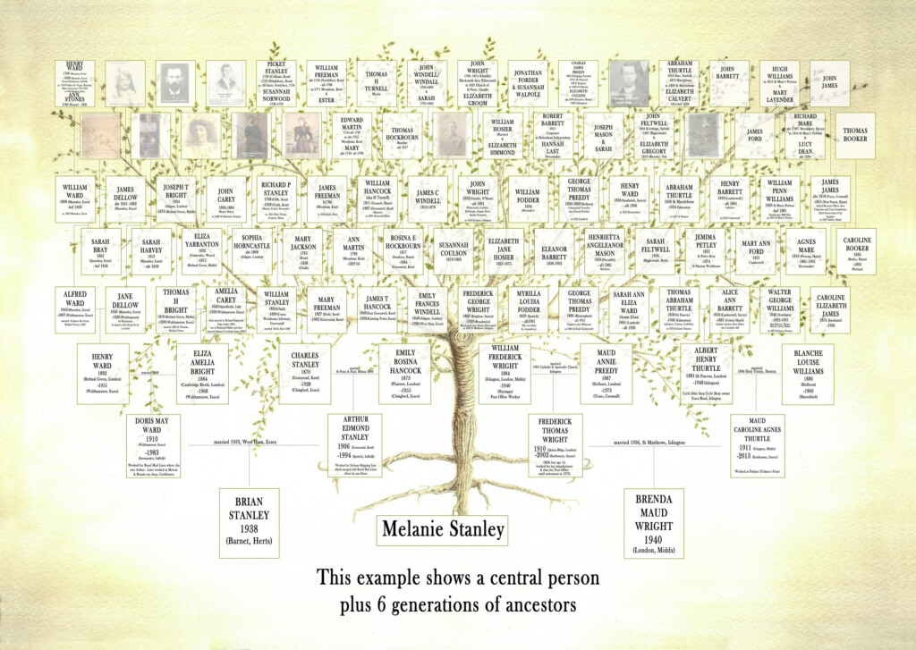 Family Tree Frame Custom Family Tree Genealogy Chart Etsy UK